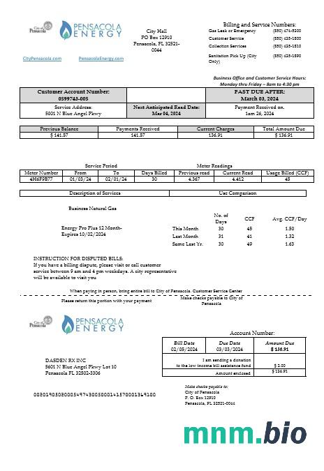 USA Florida Pensacola Energy rachunek za usługi komunalne szablon w formacie Word i PDF